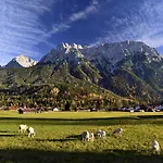 Alpenhof