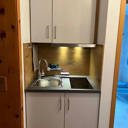 Alpenhof 발가우